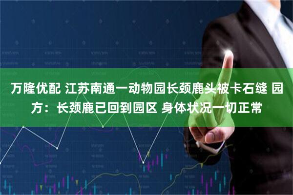 万隆优配 江苏南通一动物园长颈鹿头被卡石缝 园方：长颈鹿已回到园区 身体状况一切正常